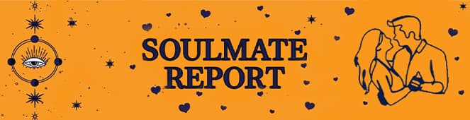 Soulmate Report Banner
